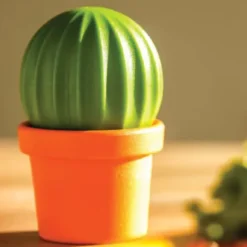 Salz- und Pfefferstreuer Cactus