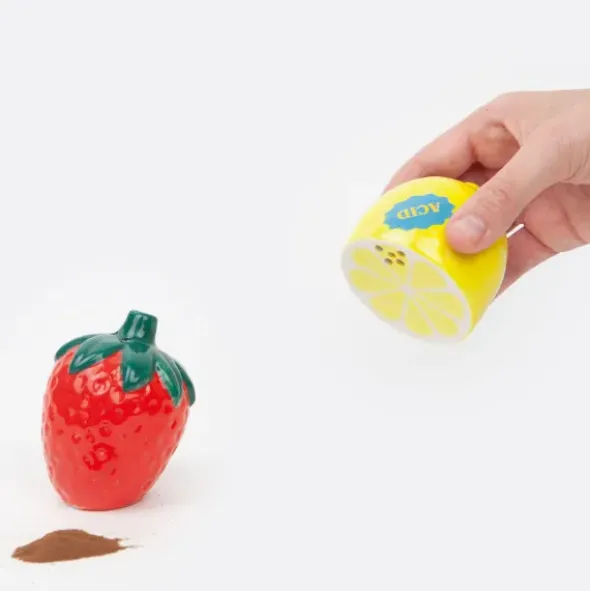 Salz- und Pfefferstreuer Früchte, Zitrone & Erdbeere
