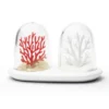 Salz- und Pfefferstreuer Set CORAL BLEACHING