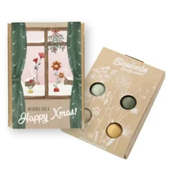 Samenbomben 4er-Set - Happy Xmas!