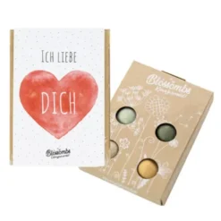 Samenbomben 4er-Set - Ich liebe dich, Herz