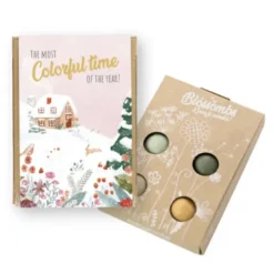 Samenbomben 4er-Set - The most Colorful time of the year!