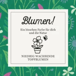 Samenbomben Geschenkbox 4er Set Blumen - Saatkugeln in Geschenkverpackung