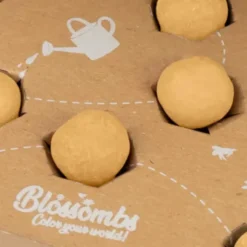 Samenbomben Geschenkbox 4er Set Hurra! - Blumengeschenk mit Botschaft