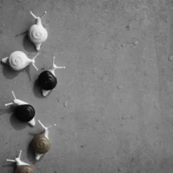 Schnecken Magnete SNAIL 6er-Set
