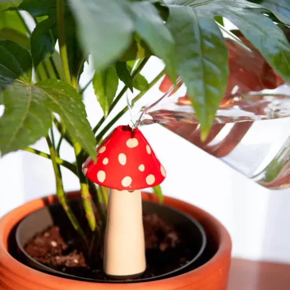 Selbstbewässerungssystem Topfpflanzen AMANITA - Fliegenpilz