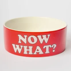 Snoopy Hundenapf Keramik NOW WHAT? MORE PLEASE – roter Futternapf Peanuts