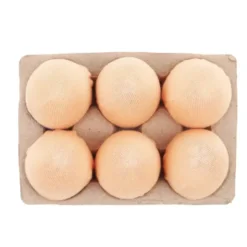 Socken 3er-Set FRESH EGGS Socks
