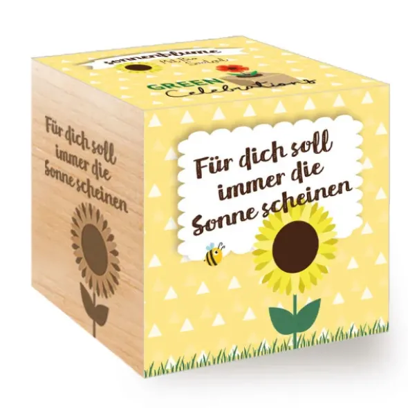 Sonnenblume im Holzwürfel - Sonne scheinen