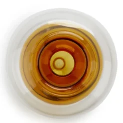 Vase für Eichel - Eichenbaum Anzucht Glas