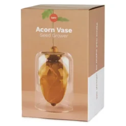 Vase für Eichel - Eichenbaum Anzucht Glas