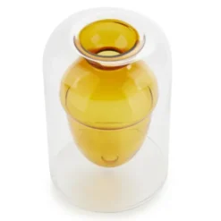 Vase für Eichel - Eichenbaum Anzucht Glas