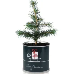 Weihnachtsbaum aus der Dose - Merry Christmas Schlitten Pflanzset