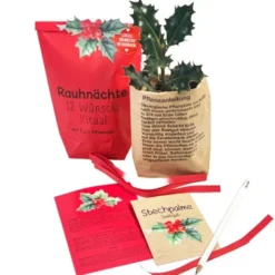 Wundertüte - Rauhnächte, 12 Wünsche Ritual